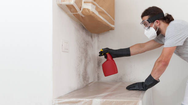 Professional Commercial Mold Remediation technician working in Hainesport, NJ