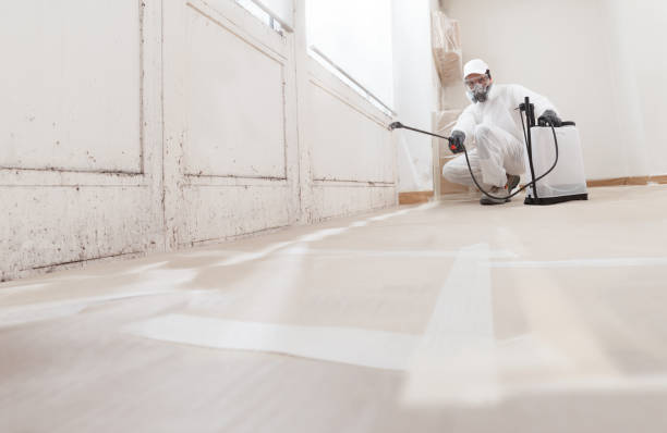24/7 Emergency Commercial Mold Remediation experts in Hainesport, NJ